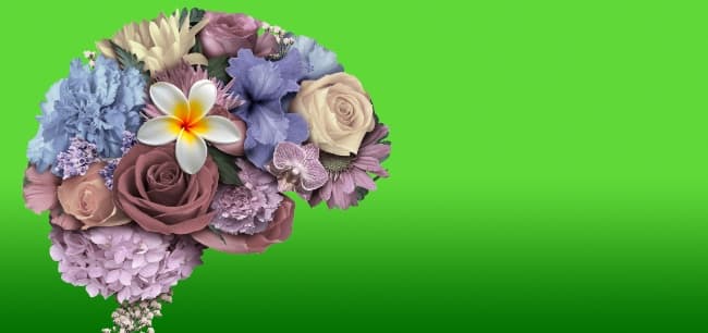 Marriage counseling, couples counseling, sex therapy, adult adhd coaching in Denver, DTC, Cherry Hills Village, Cherry Creek, Littleton, Highlands Ranch, Englewood, Castle Rock, Castle Pines, Evergreen, Morrison, Greenwood Village, Lakewood